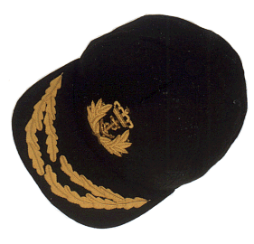 cap1.gif (33852 bytes)