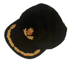 cap2.gif (31602 bytes)