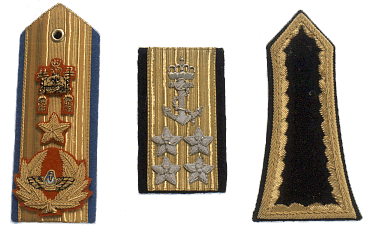 sleever_shoulders_eppulettes8.gif (54066 bytes)