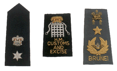 sleever_shoulders_eppulettes91.gif (47711 bytes)